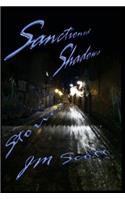Sanctioned Shadows
