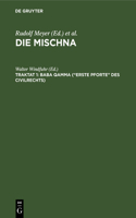 Baba qamma ("Erste Pforte" des Civilrechts): Text, Übersetzung Und Erklärung. Nebst Einem Textkritischen Anhang(German)