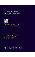 Brain Edema XIII