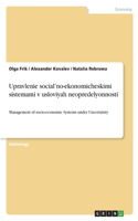 Upravlenie social'no-ekonomicheskimi sistemami v usloviyah neopredelyonnosti