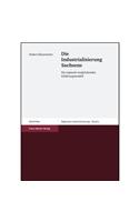 Die Industrialisierung Sachsens: Ein Regional-Vergleichendes Erklarungsmodell(5 Regionale Industrialisierung,)