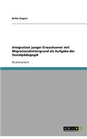 Integration junger Erwachsener mit Migrationshintergrund als Aufgabe der Sozialpädagogik: (German)