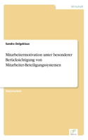 Mitarbeitermotivation unter besonderer Berücksichtigung von Mitarbeiter-Beteiligungssystemen