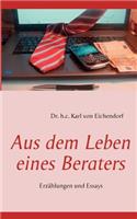 Aus dem Leben eines Beraters: Erzählungen und Essays