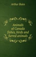 ANIMALS OF CANADA FISHES BIRDS AND FURR