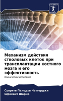 Механизм действия стволовых клеток при т&#1088