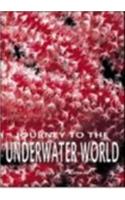 Journey to the Underwater World (Secrets of the Sea)