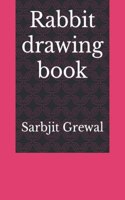 Rabbit drawing book