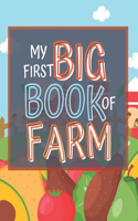 My First Big Book of Firm