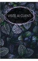 Visite ai clienti