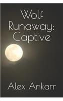 Wolf Runaway