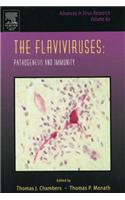 The Flaviviruses