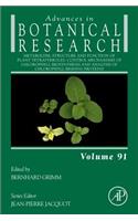 Metabolism, Structure and Function of Plant Tetrapyrroles: Control Mechanisms of Chlorophyll Biosynthesis and Analysis of Chlorophyll-Binding Proteins