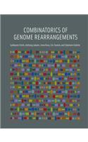 Combinatorics of Genome Rearrangements