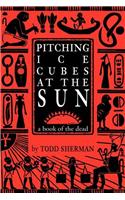 Pitching Ice Cubes at the Sun