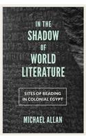 In the Shadow of World Literature