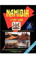 Namibia a Spy Guide: (English)
