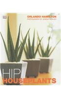 Hip Houseplants