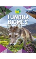 Tundra Biomes