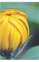Awakening the Garden Lover in You