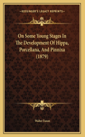 On Some Young Stages In The Development Of Hippa, Porcellana, And Pinnixa (1879)