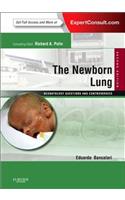 The Newborn Lung: Neonatology Questions and Controversies