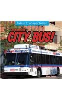 Let's Ride the City Bus!: (Public Transportation)