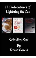 Adventures of Lightning the Cat