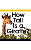 How Tall Is a Giraffe?