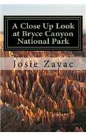 A Close Up Look at Bryce Canyon National Park