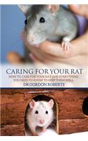 Caring for Your Rat