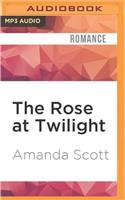 Rose at Twilight