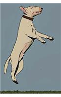 Bull Terrier