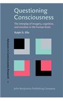 Questioning Consciousness: The interplay of imagery, cognition, and emotion in the human brain: 2 (Advances in Consciousness Research)