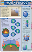 Marine Biology: Our Precious Oceans