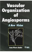 Vascular Organization of Angiosperms