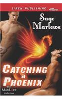 Catching a Phoenix (Siren Publishing Allure Manlove)