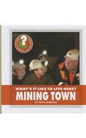 What's It Like to Live Here? Mining Town: (Community Connections: What's It Like to Live Here?)