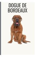 Dogue de Bordeaux