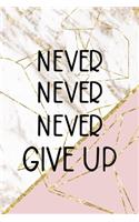Never Never Never Give Up