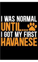 I Was Normal Until I Got My First Havanese