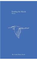 Tending the Marsh