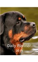 Planner 2019: Boxer