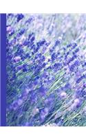 Lovely Field of Lavender Flowers Blank Notebook Journal
