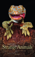 Strange Animals: (Animals in Photographs)