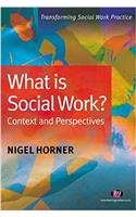 What is Social Work?: Context and Perspectives (Transforming Social Work Practice Series)