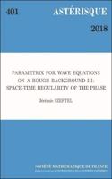 Parametrix for Wave Equations on a Rough Background III