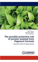 possible protective role of protein isolated from Peganum harmala