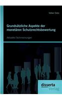 Grundsätzliche Aspekte der monetären Schutzrechtsbewertung