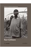 Raul Canibano: PHotoBolsillo
